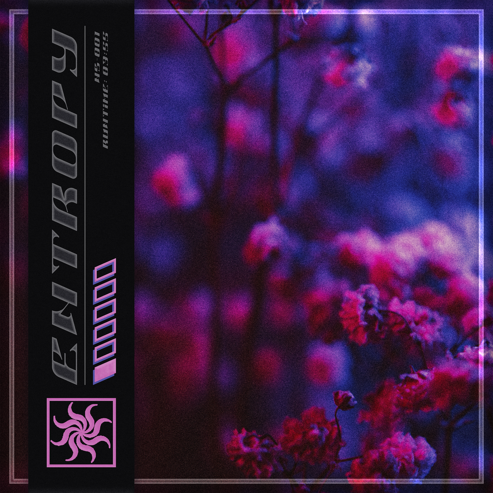 assurance-entropy